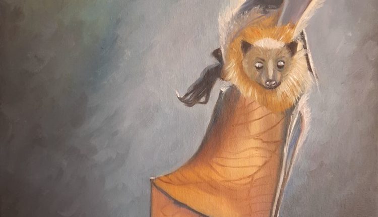 93476394_215162343110387_4138503540077232128_n