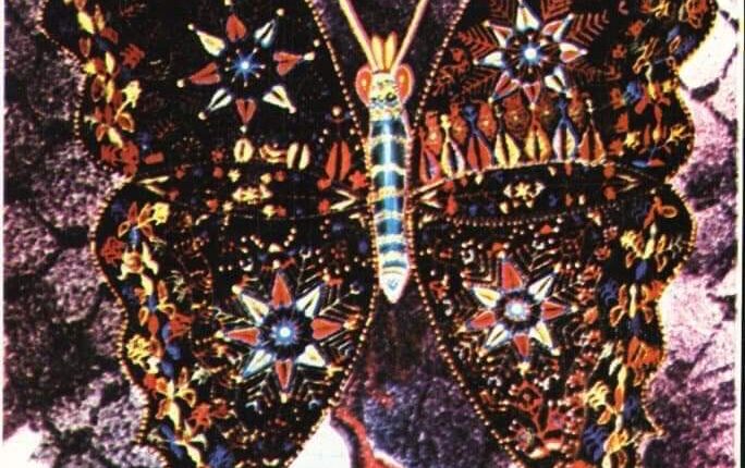 121020594_10215303943825563_4895543266827237577_n