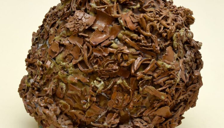 156795769_733062213995783_880532748802187618_n