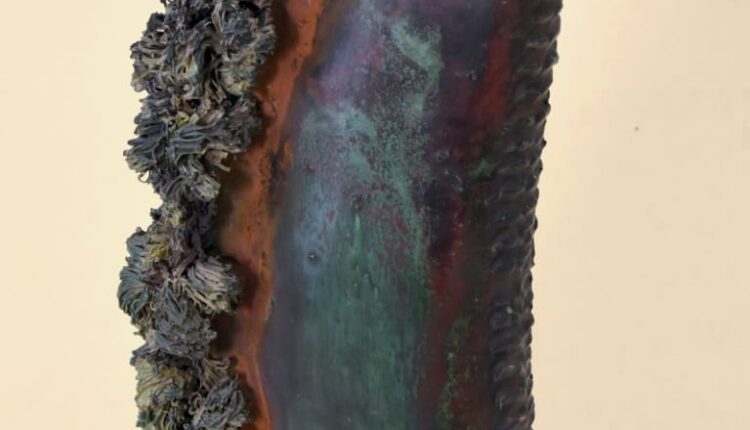 158050623_2187399744743045_1272161325304266215_n