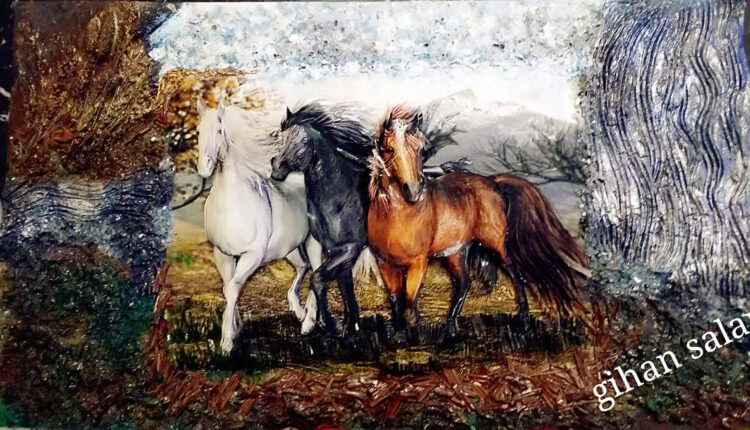 77357984_587095841831126_4680449982434639872_n