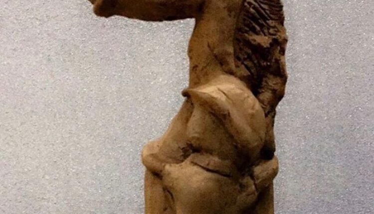 WhatsApp Image 2021-02-16 at 8.38.54 PM (2)