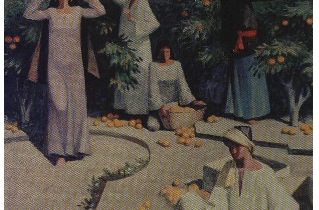 106922219_10214733918415284_8253351685133273764_n