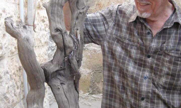 51141355_2004705769585159_8310583820214599680_n